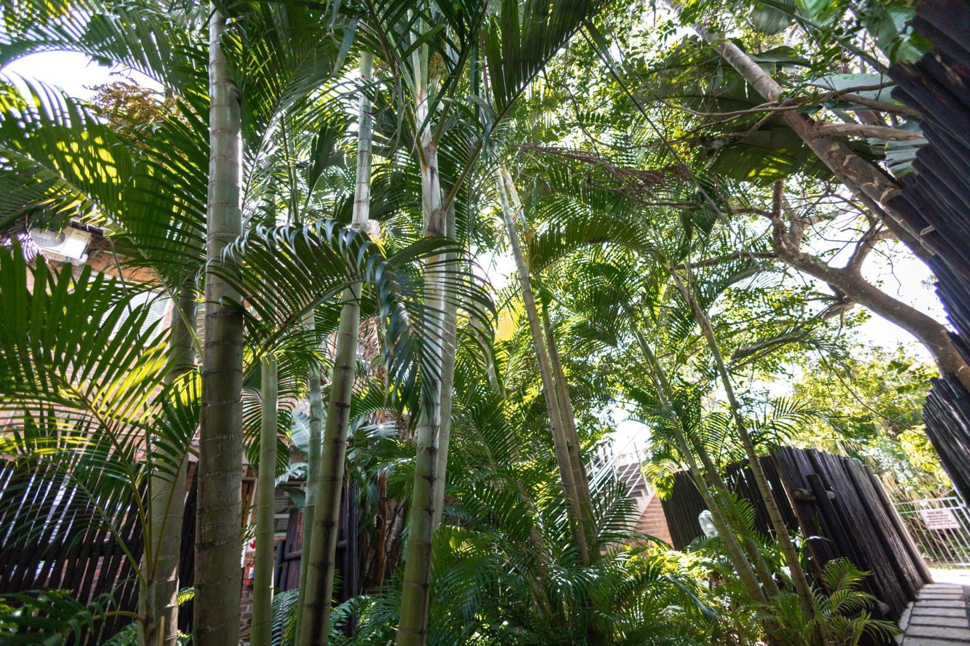 Little Eden St Lucia St. Lucia Exterior foto